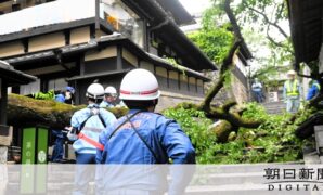 京都・産寧坂で倒木、男性下敷きに　「えらいことになってしまった」